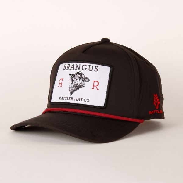 BRANGUS-SQUARE-MAIN Brangus Parche Rectangular