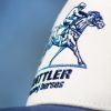 Racing Horses