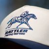 Racing Horses