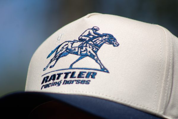 Racing Horses