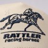 Racing Horses
