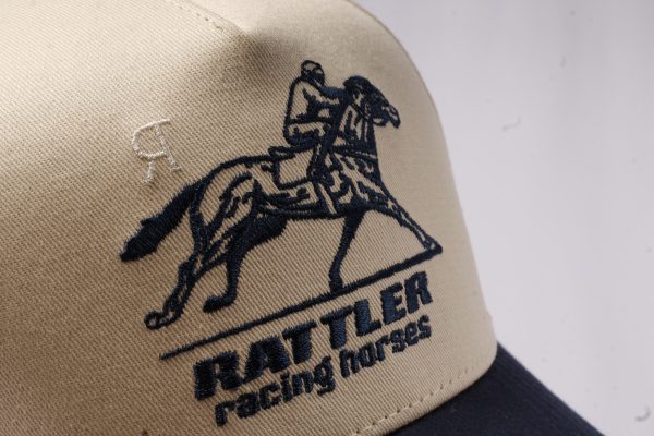 Racing Horses
