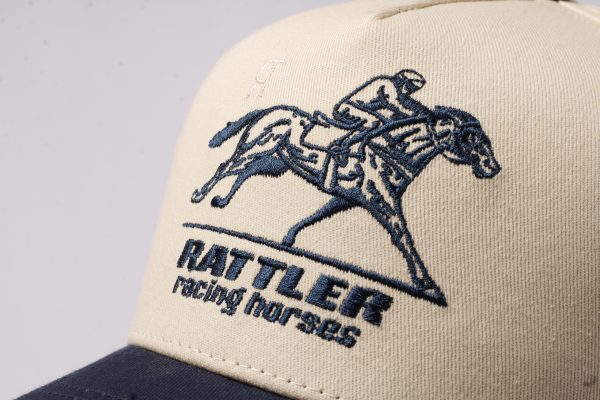 Racing Horses
