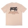 MEXICO CATTLE (Oversize)