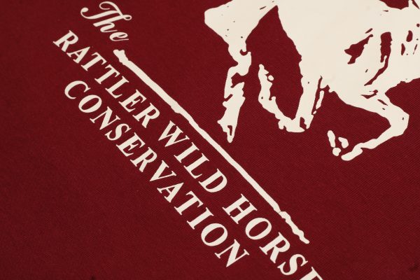 Wild Horse Conservation