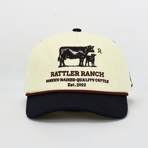 Mexico Cattle